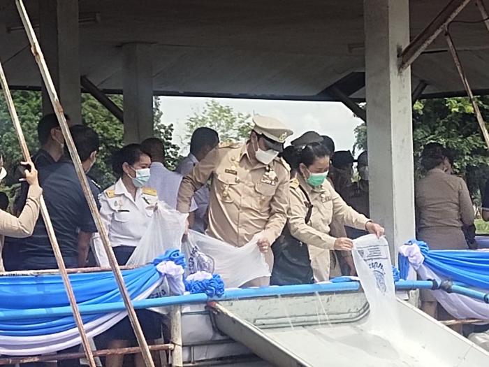 กิจกรรมปล่อยพันธุ์สัตว์น้ำ เฉลิมพระเกียรติ สมเด็จพระนางเจ้าสิริกิติ์​ พระ​บรมราชินีนาถ พระบรมราชชนนีพันปีหลวง เนื่องในโอกาสมหามงคล เฉลิมพระชนมพรรษา ๑๒ สิงหาคม ๒๕๖๕