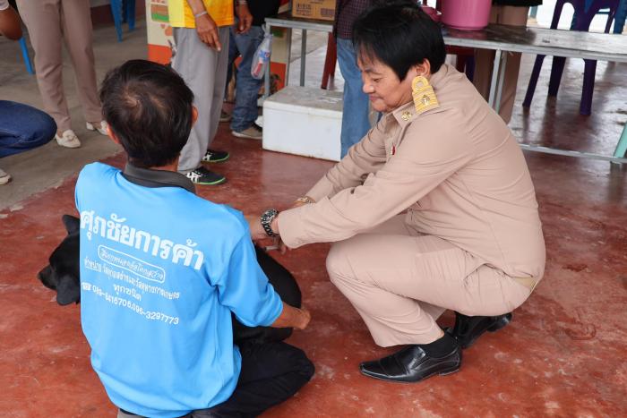โครงการสัตว์ปลอดโรค คนปลอดภัยจากโรคพิษสุนัขบ้า ณ ชุมชนห้วยเสือเต้น หมู่ที่ ๓